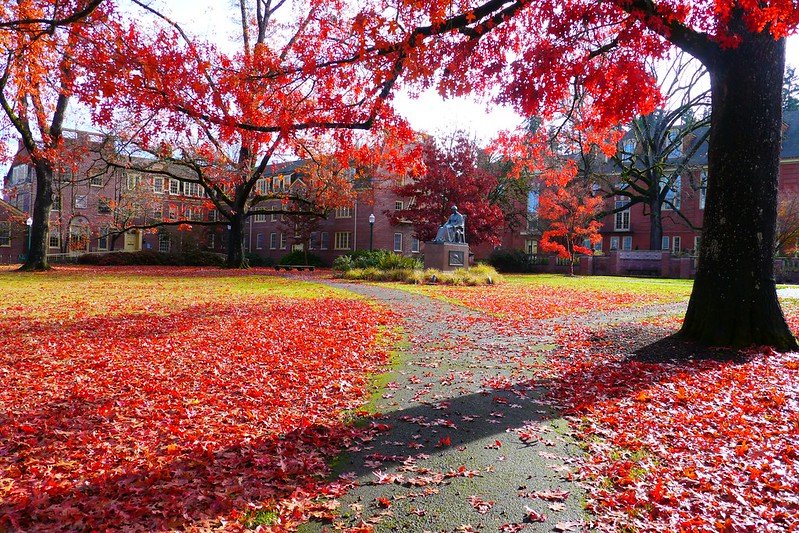 College Campus in Fall
